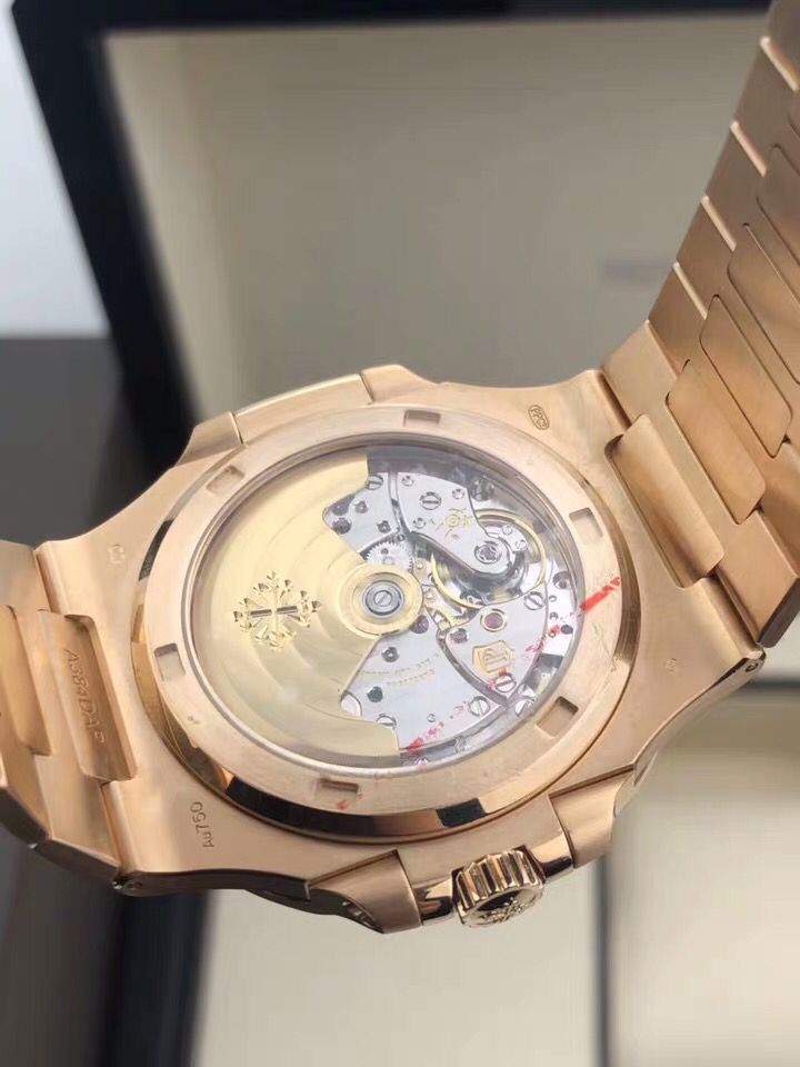 Patek Philippe Mechanical Watch(AAAAA)-079
