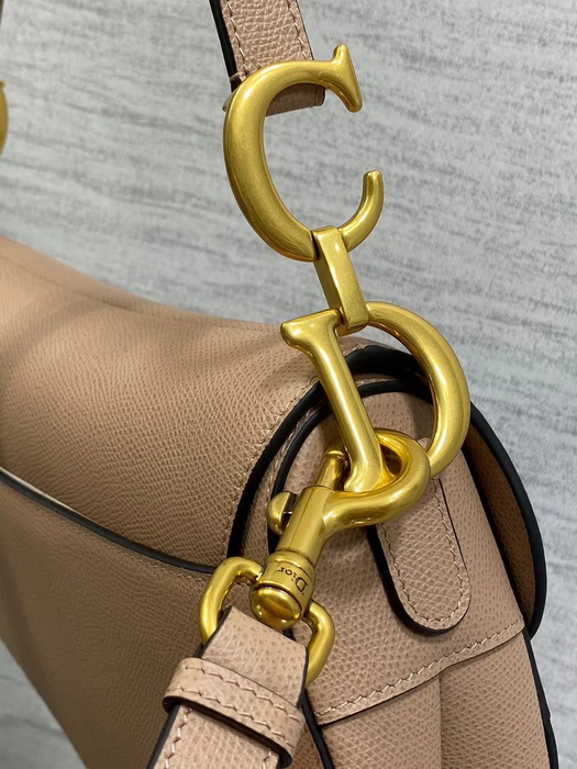Dior Handbags AAAA(Women)-119