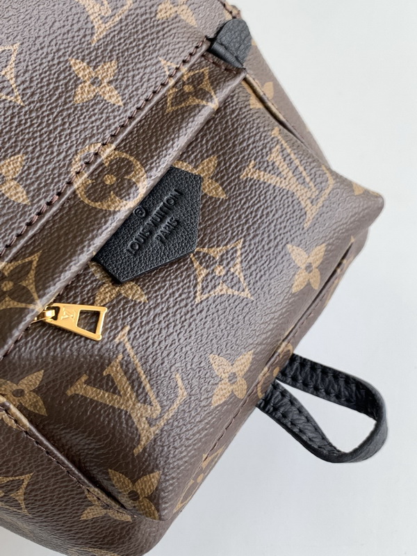 LV Backpack(AAA)-041