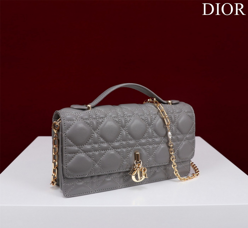Dior Handbags AAA(Women)-231