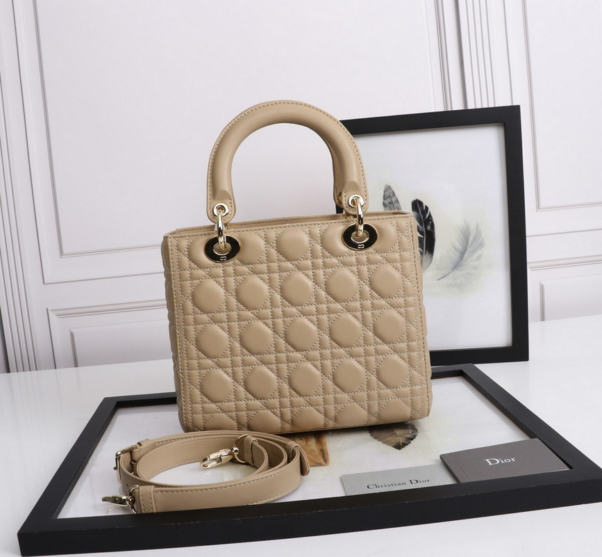 Dior Handbags AAA(Women)-470