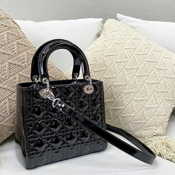 Dior Handbags AAA(Women)-164
