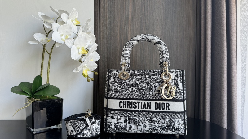 Dior Handbags AAA(Women)-605