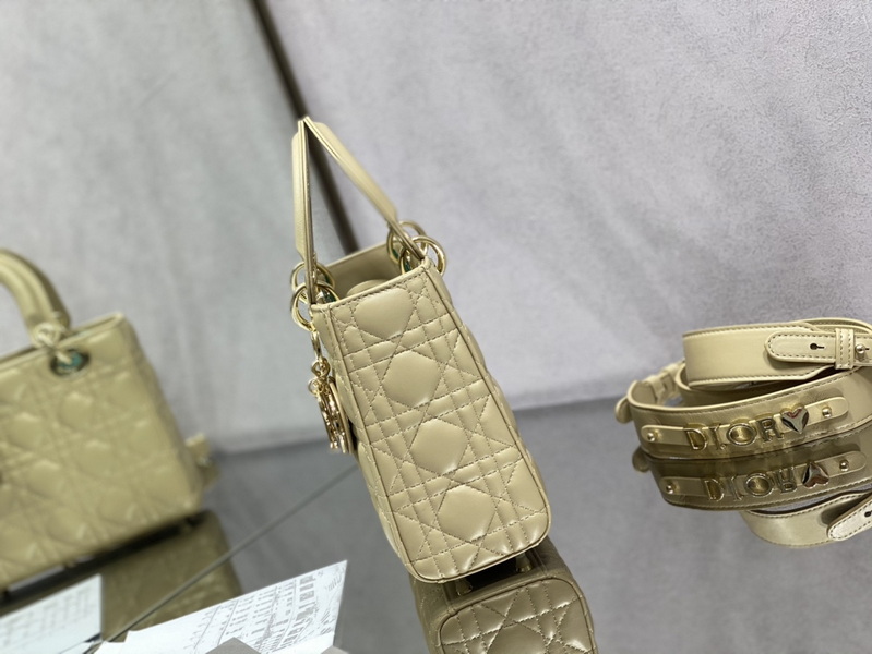 Dior Handbags AAA(Women)-651