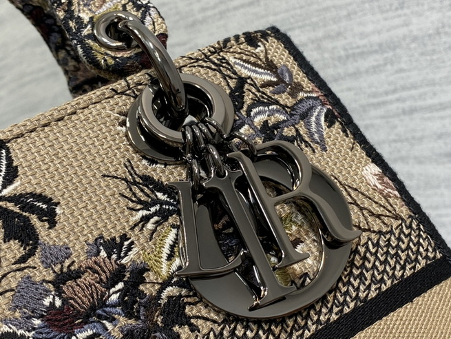 Dior Handbags AAA(Women)-665