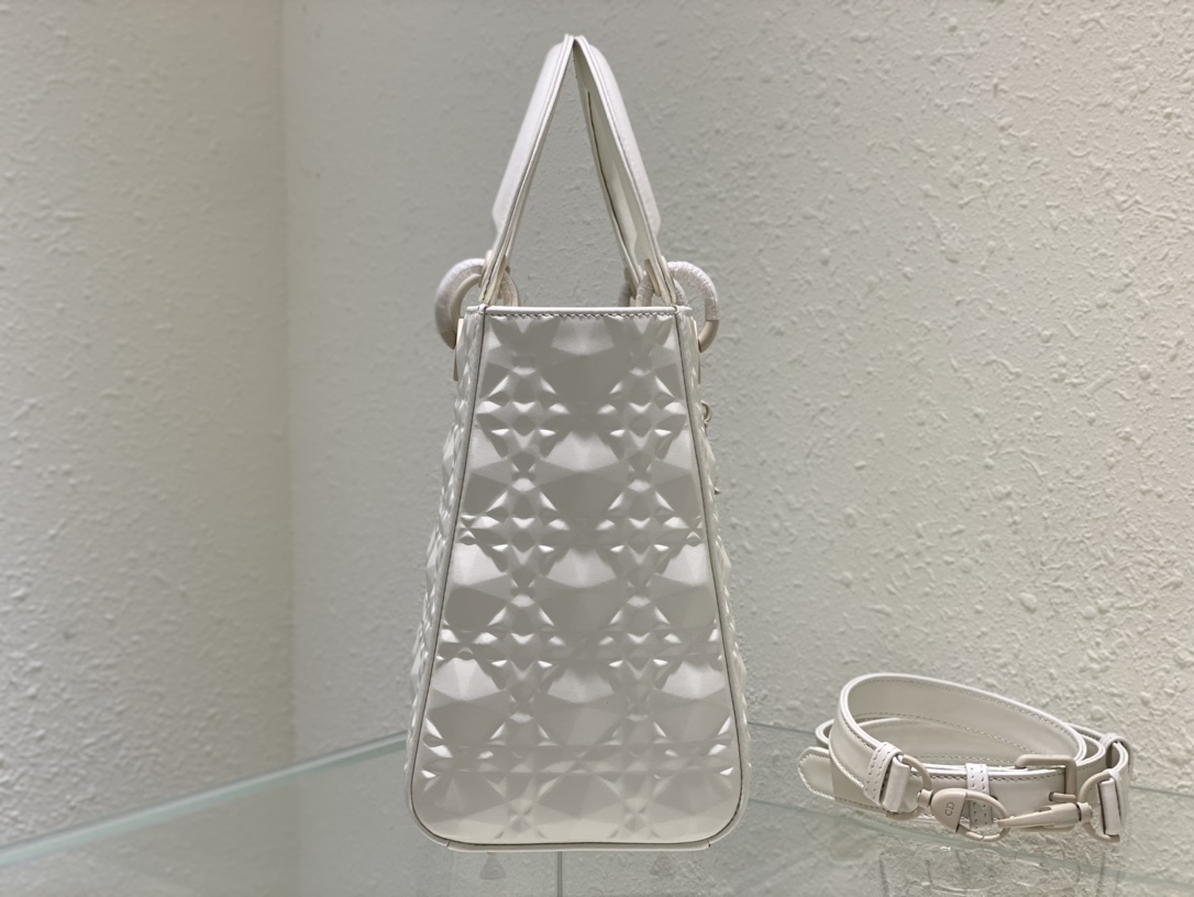 Dior Handbags AAA(Women)-690