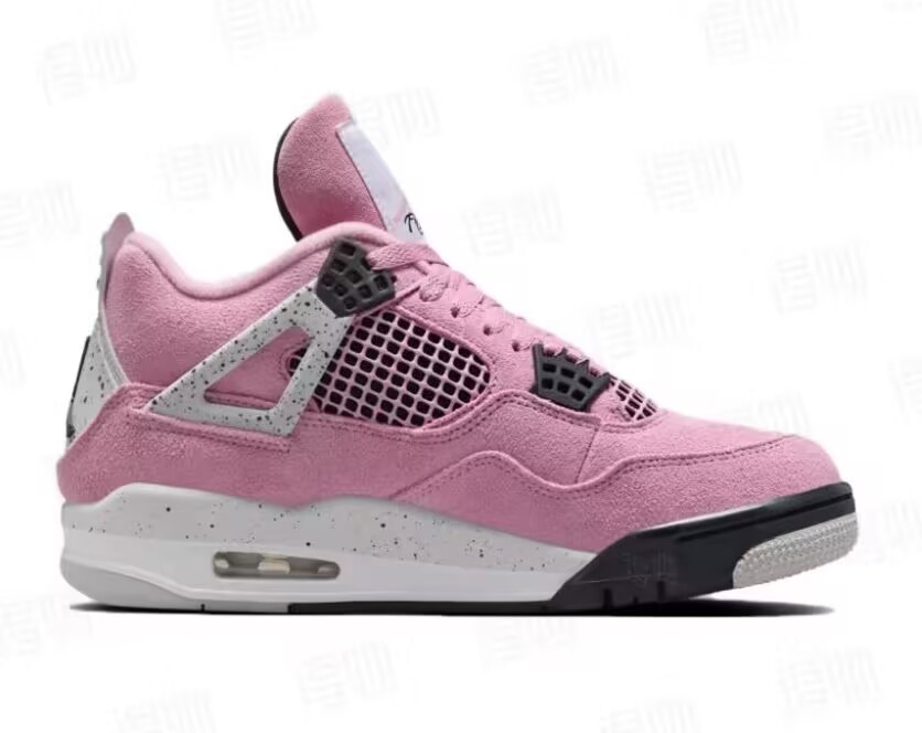 Air Jordan 4 Retro-170