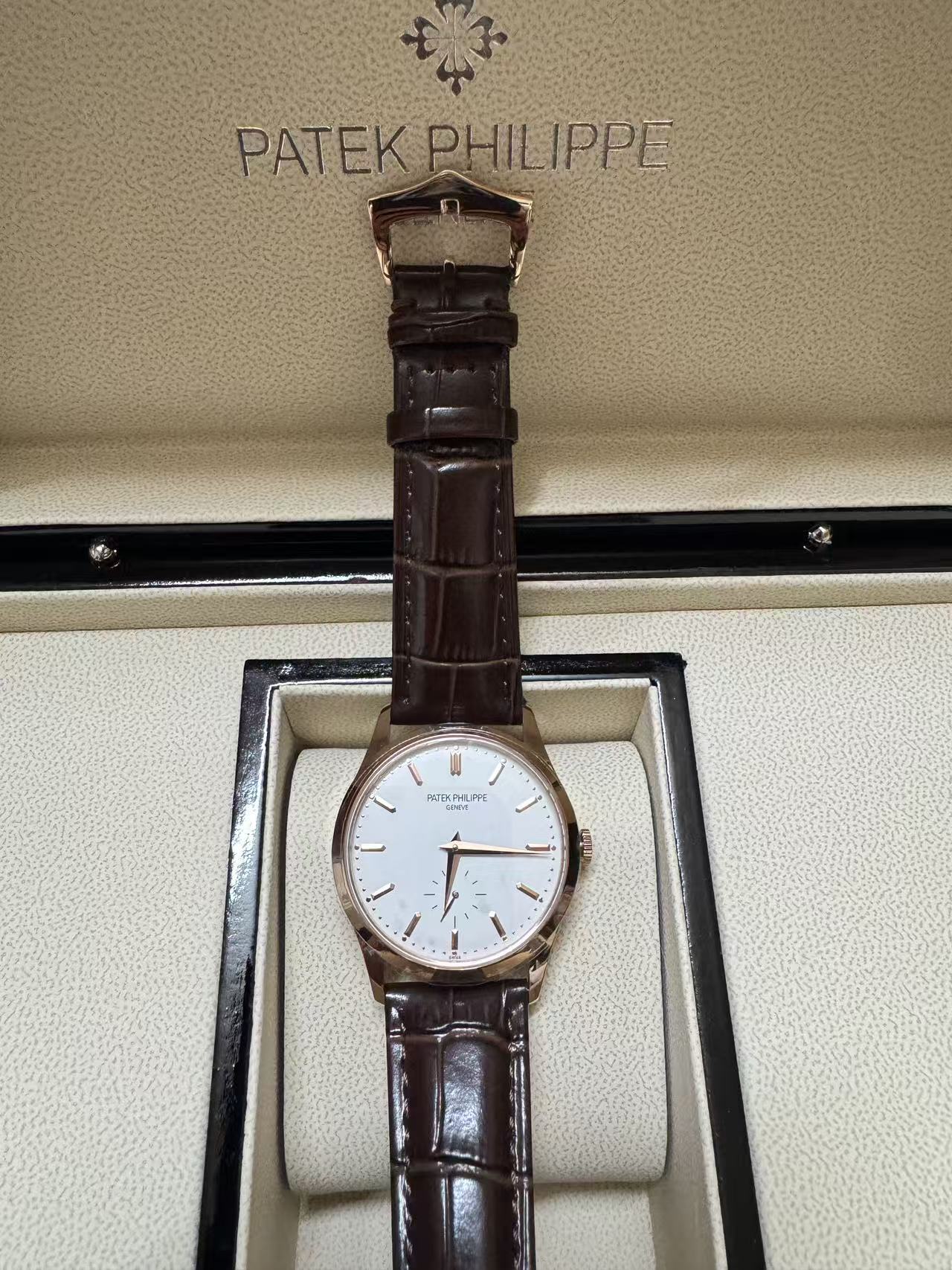 Patek Philippe Mechanical Watch(AAA)-092