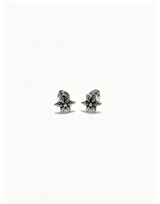 Chrome Hearts Earrings-003
