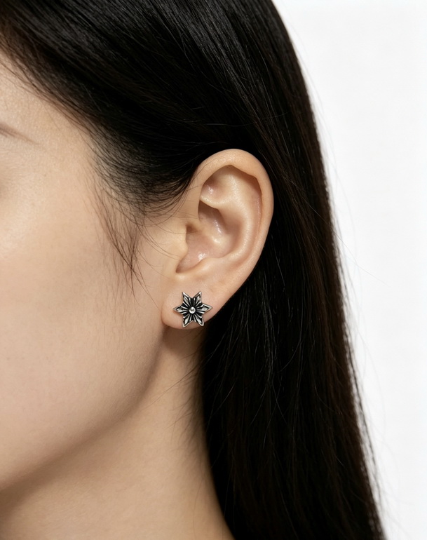 Chrome Hearts Earrings-003