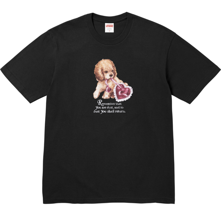 Supreme T-shirts-201