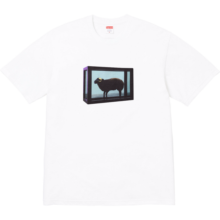 Supreme T-shirts-264