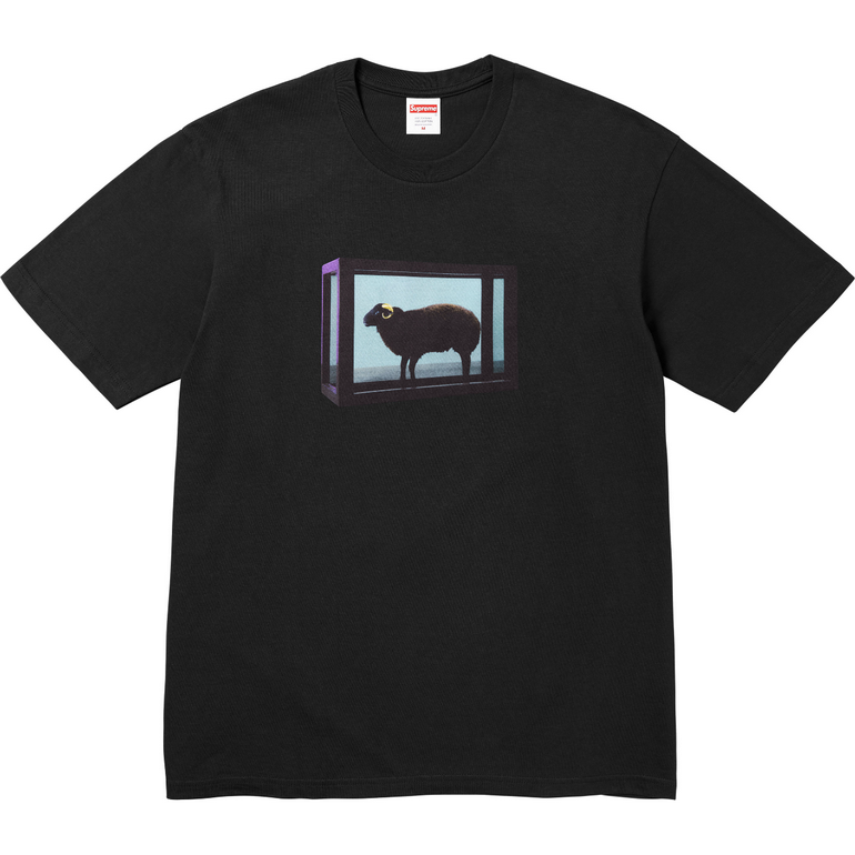 Supreme T-shirts-262